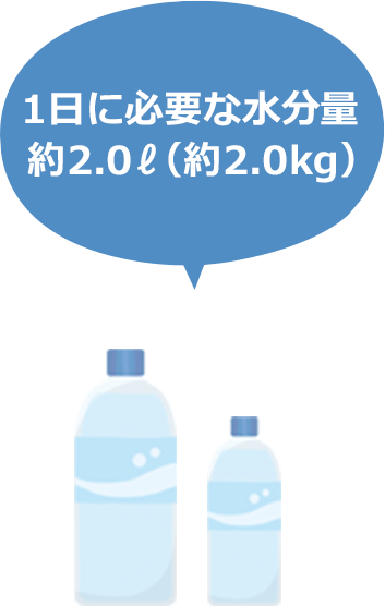 一日に必要な水分約1.5リットル